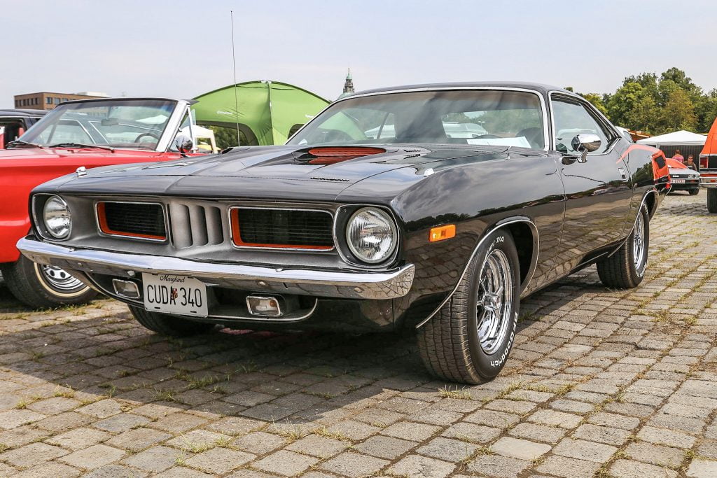 Barracuda